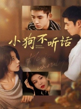 《小狗不听话》完整版在线观看