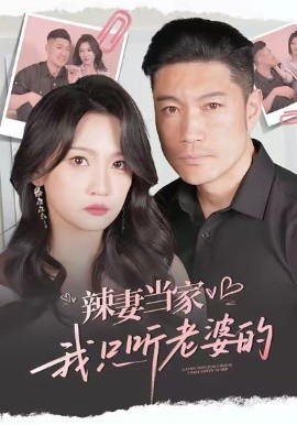 《辣妻当家，我只听老婆的》完整版在线观看