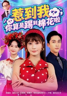 《惹到我,你算是踢到棉花啦》完整版在线观看