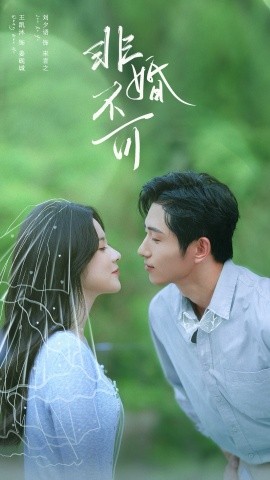 《非婚不可》完整版在线观看