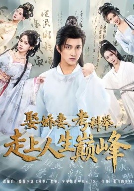 《娶娇妻,考科举,走上人生巅峰》完整版在线观看