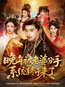 《晚年被老婆分手，系统终于来了》完整版在线观看