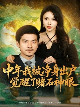 《中年我被净身出户,觉醒了赌石神眼》完整版在线观看