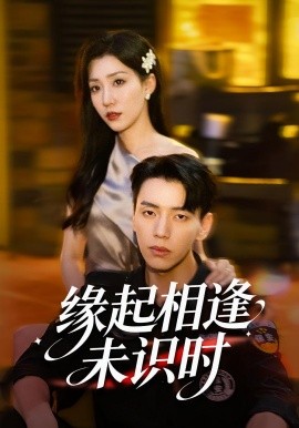 《缘起相逢未识时》完整版在线观看