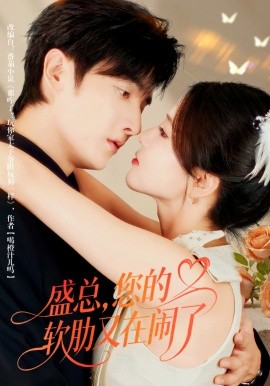 《盛总,您的软肋又在闹了》完整版在线观看
