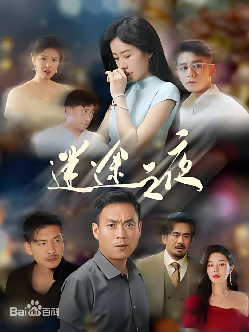 《迷途之夜》完整版在线观看