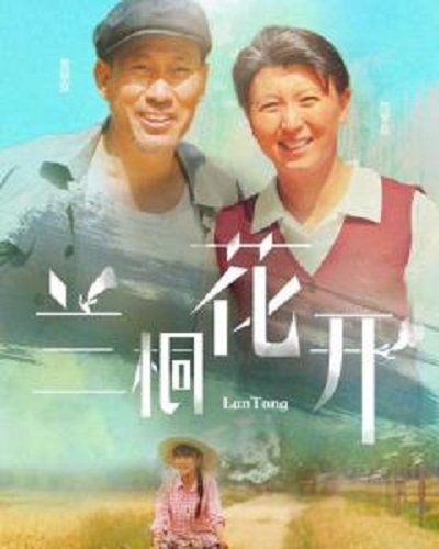 《兰桐花开》完整版在线观看