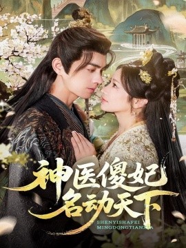 《神医傻妃名动天下》完整版在线观看