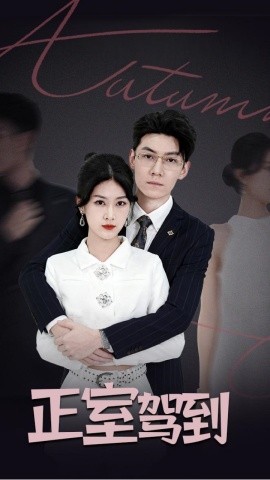 《正室驾到》完整版在线观看