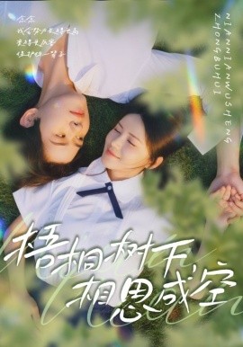 《梧桐树下，相思成空》完整版在线观看