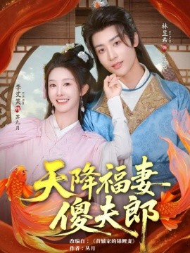 《天降福妻傻夫郎》完整版在线观看