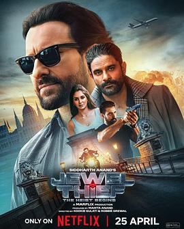 《珠宝大盗：神偷出马》完整版在线观看