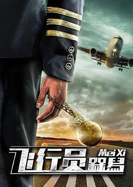 《飞行员呆呆鸟》完整版在线观看