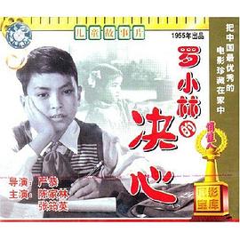 《罗小林的决心》完整版在线观看