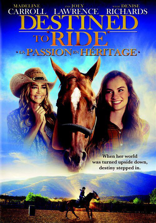 《骏马开心果》完整版在线观看