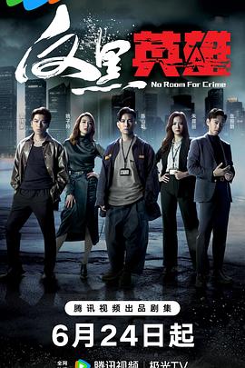 《反黑英雄(国语)》完整版在线观看