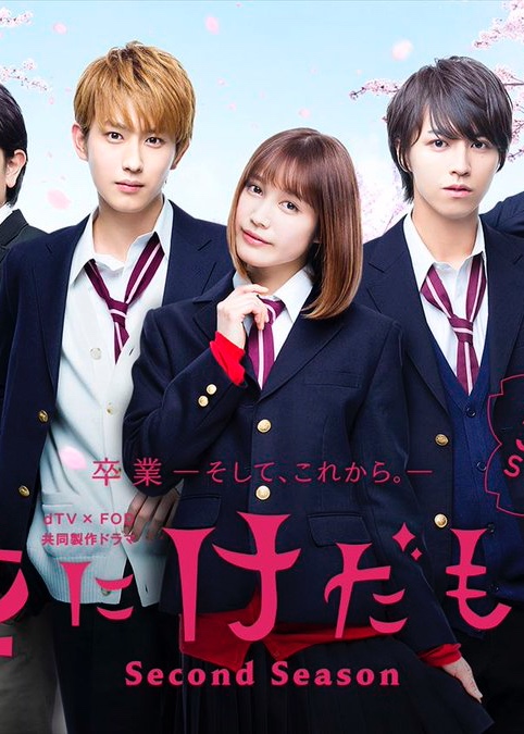 《花予野兽第二季》完整版在线观看