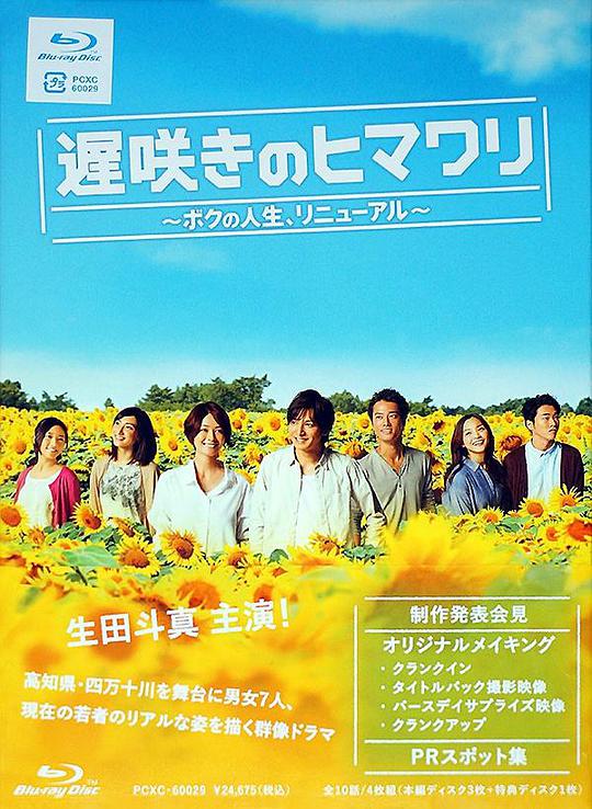 《迟开的向日葵》完整版在线观看