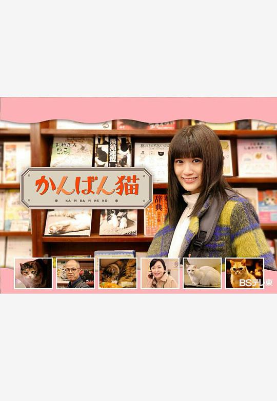 《看板猫》完整版在线观看