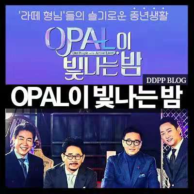 《OPAL闪耀的夜》完整版在线观看