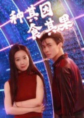 《种其因，食其果》完整版在线观看