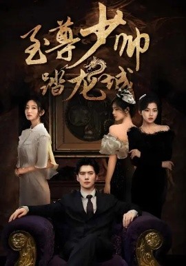 《至尊少帅踏龙城》完整版在线观看