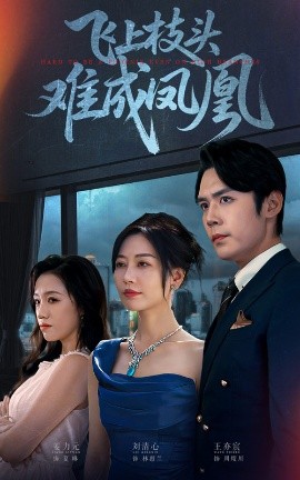 《飞上枝头难成凤凰》完整版在线观看