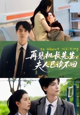 《再见机长先生，夫人已读不回》完整版在线观看