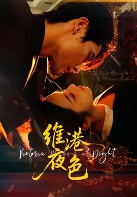 《维港夜色 港城回响》完整版在线观看