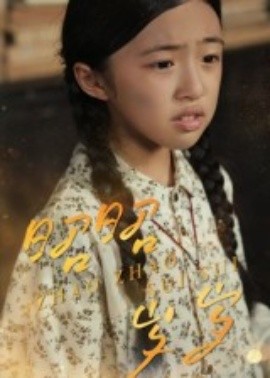 《昭昭岁岁》完整版在线观看