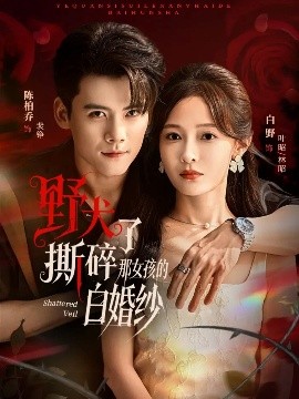 《野犬撕碎了那女孩的白婚纱》完整版在线观看