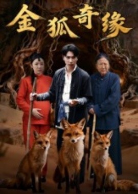 《金狐奇缘》完整版在线观看
