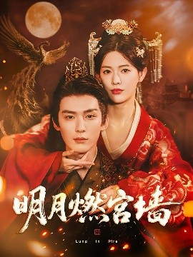 《明月燃宫墙》完整版在线观看