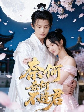 《奈何奈何不逢君》完整版在线观看