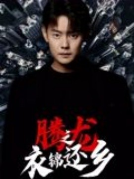 《腾龙之衣锦还乡》完整版在线观看