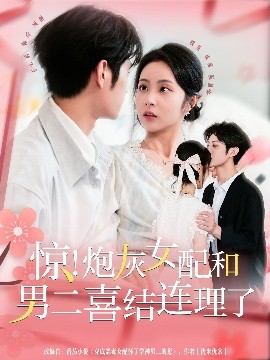 《惊！炮灰女配和男二喜结连理了》完整版在线观看