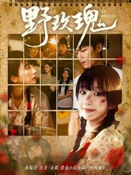 《野玫瑰》完整版在线观看