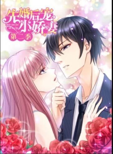 《先婚后宠小娇妻第二季》完整版在线观看