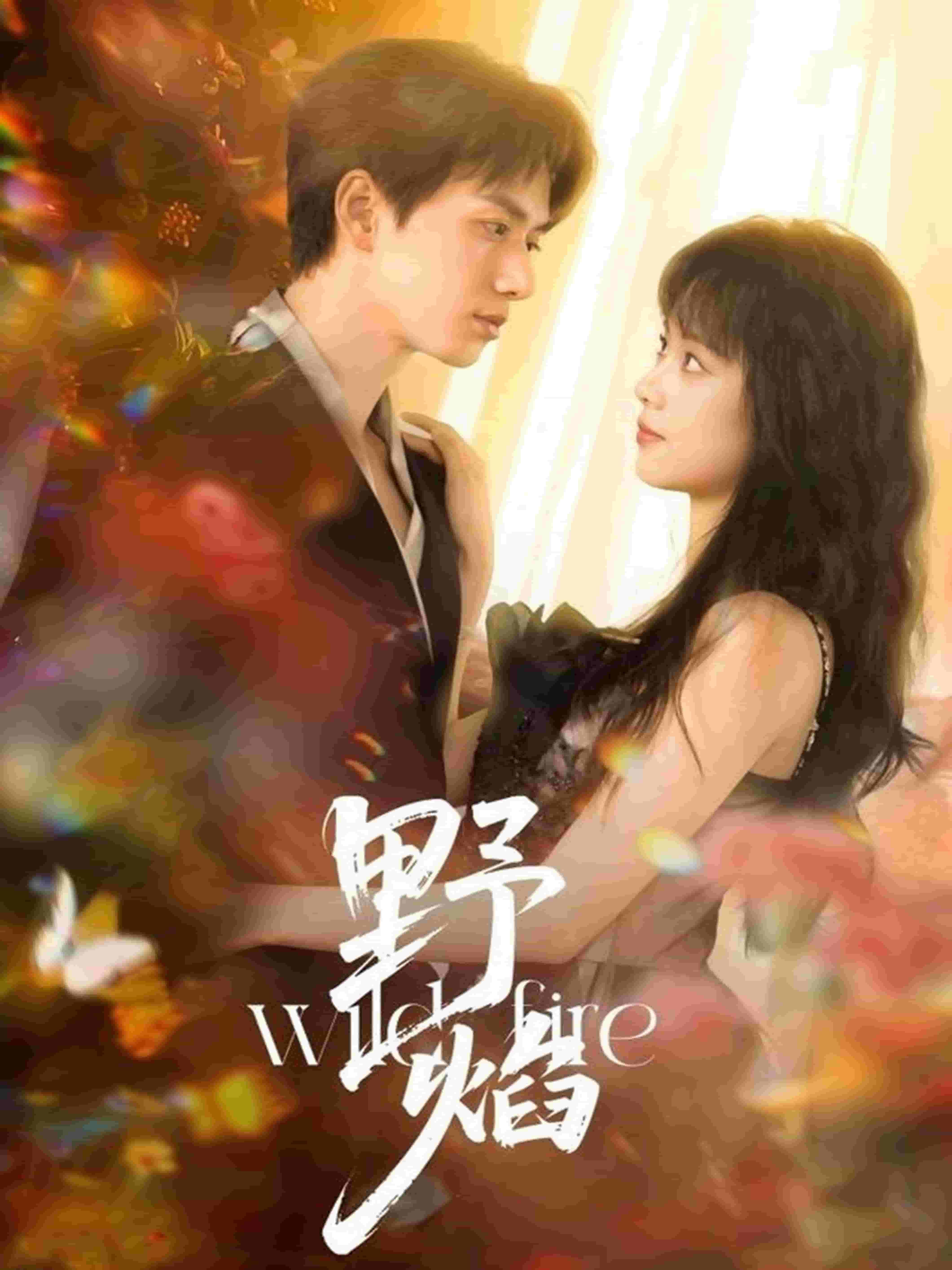 《野焰》完整版在线观看