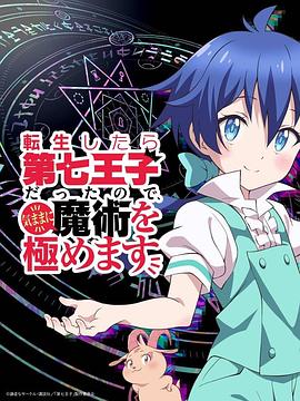 《转生七王子的魔法全解》完整版在线观看