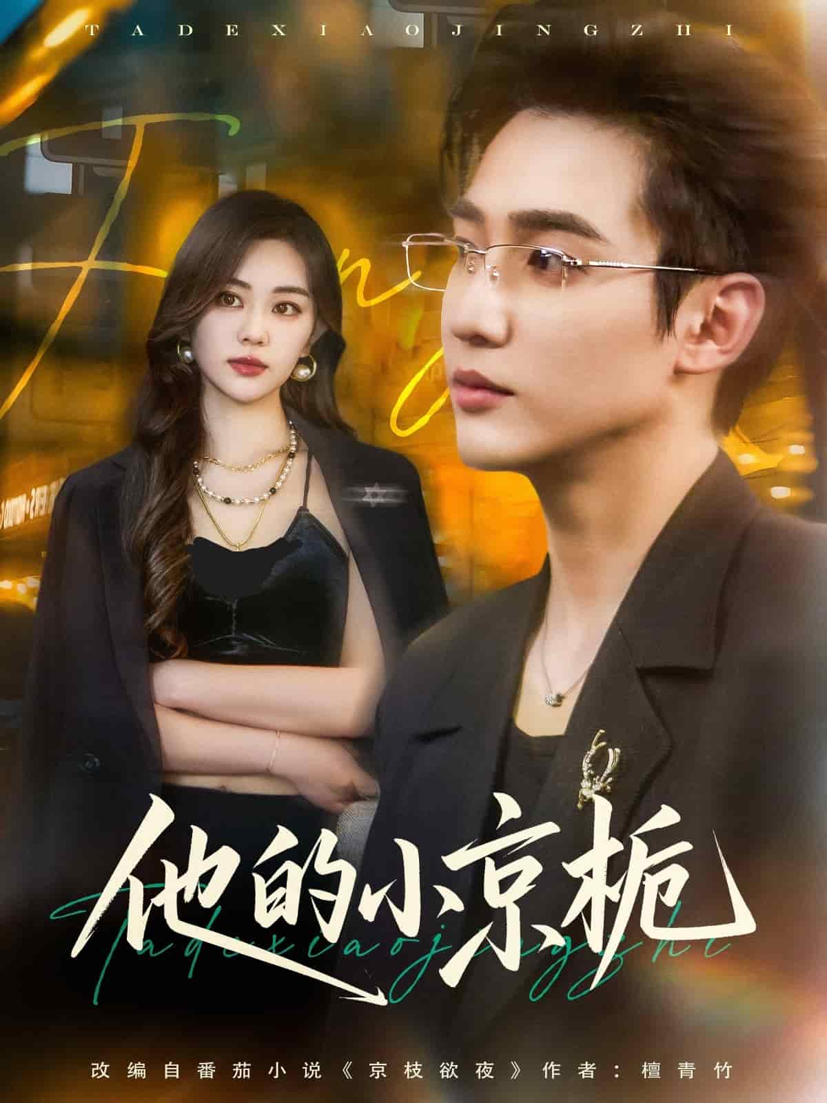 《他的小京栀》完整版在线观看