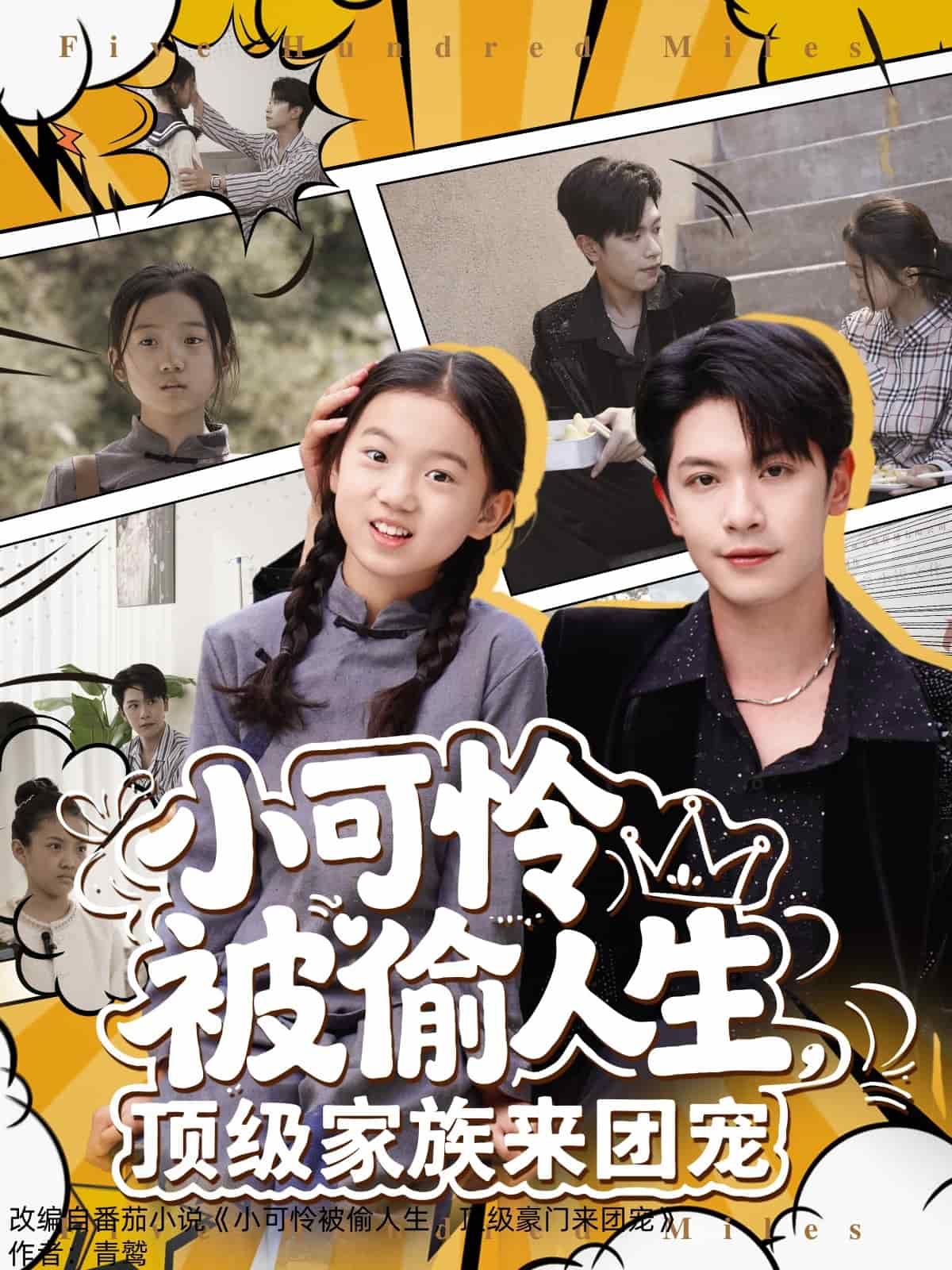 《小可怜被偷人生，顶级家族来团宠》完整版在线观看