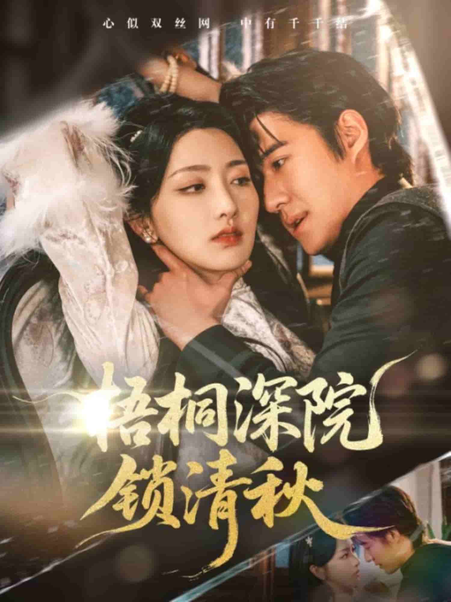 《梧桐深院锁清秋》完整版在线观看