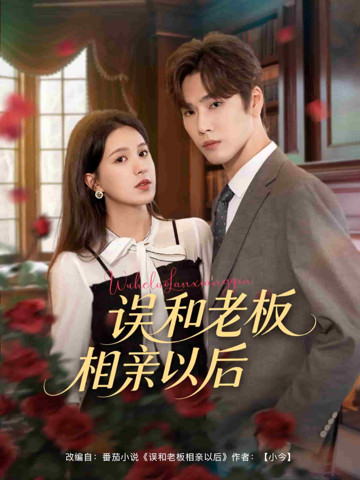 《误和老板相亲以后》完整版在线观看