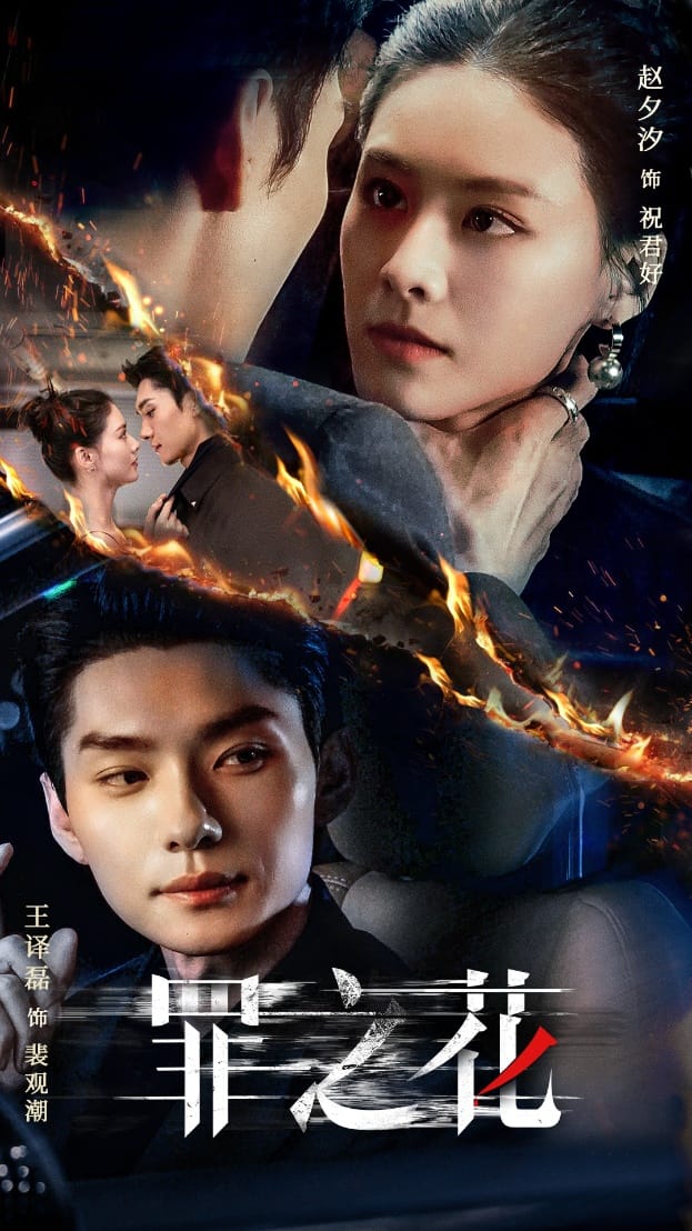 《罪之花》完整版在线观看