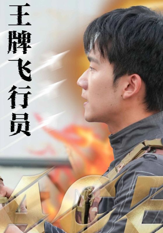 《王牌飞行员》完整版在线观看