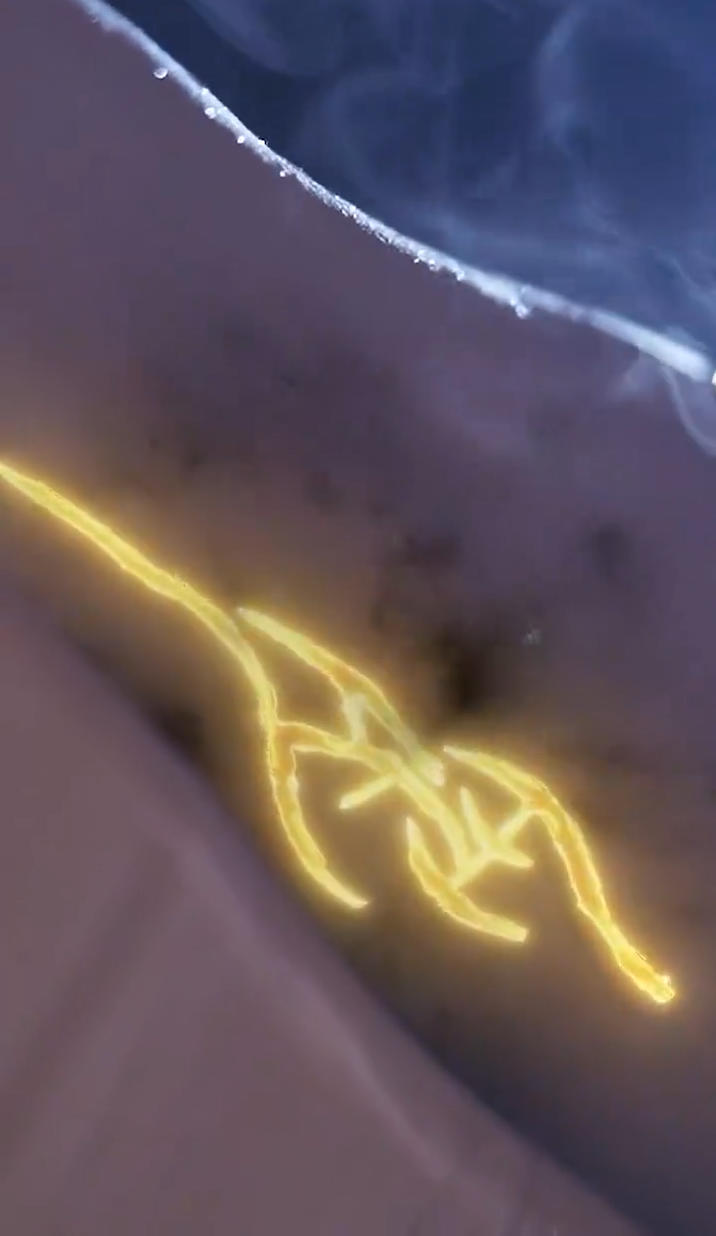 《缘来仙妻就是你》完整版在线观看