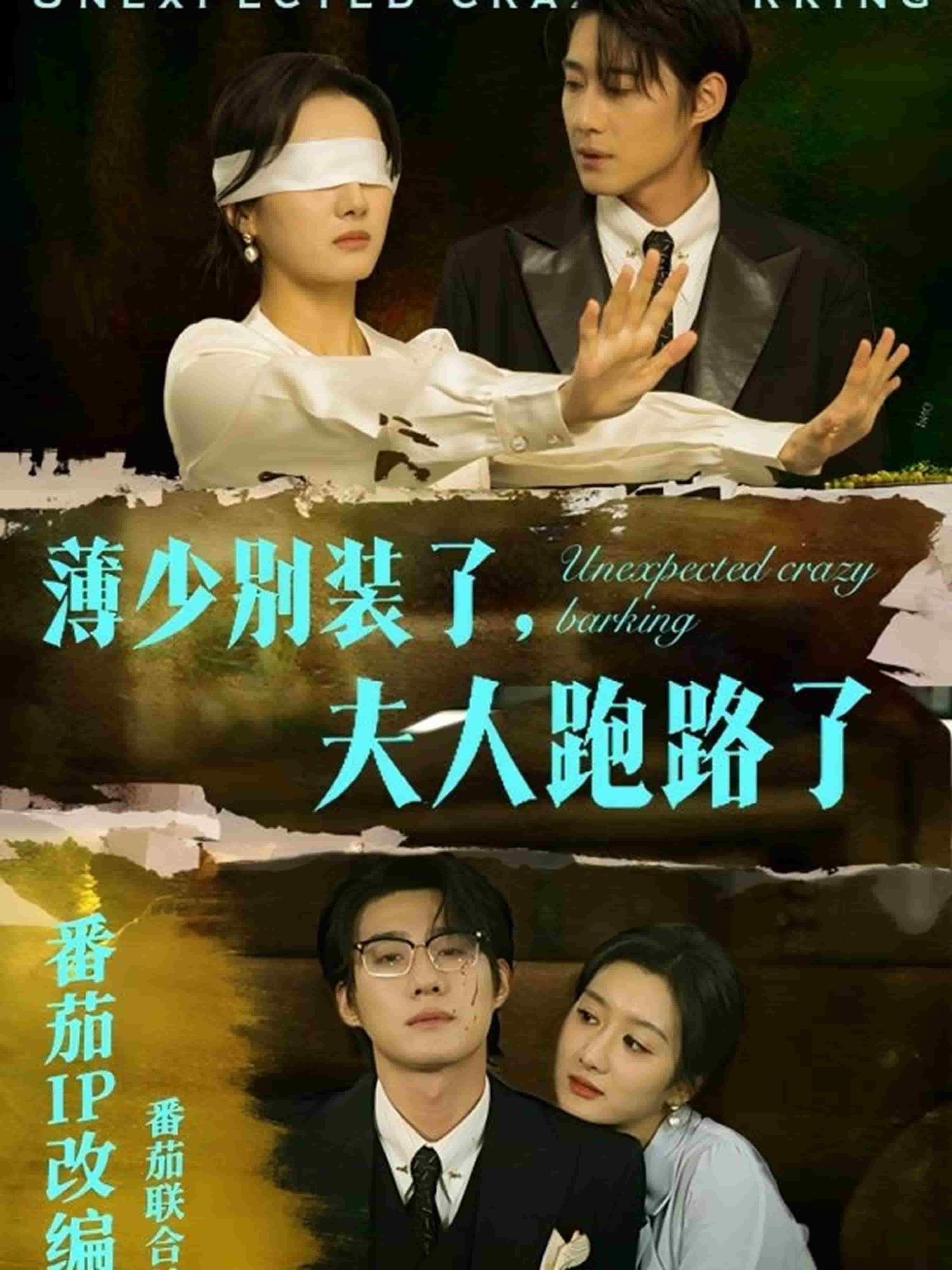 《薄少别装了夫人跑路了》完整版在线观看