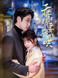 《乖甜娇妻太难哄》完整版在线观看