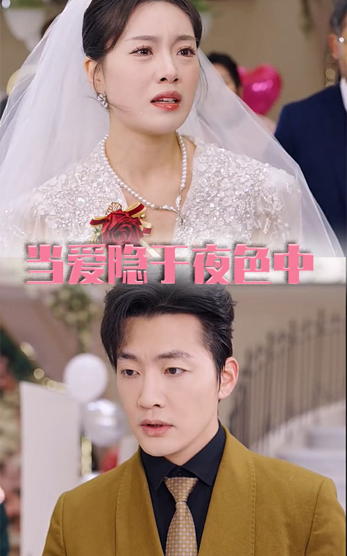 《当爱隐于夜色中》完整版在线观看